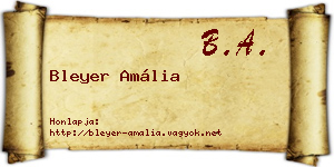 Bleyer Amália névjegykártya