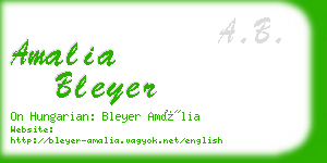 amalia bleyer business card